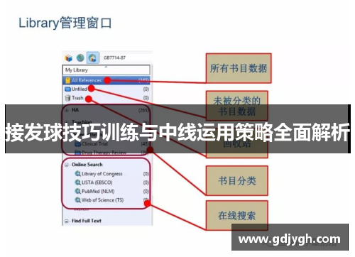 接发球技巧训练与中线运用策略全面解析