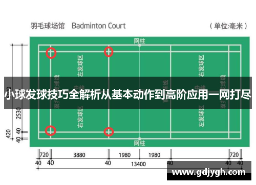 小球发球技巧全解析从基本动作到高阶应用一网打尽