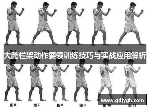 大跨栏架动作要领训练技巧与实战应用解析