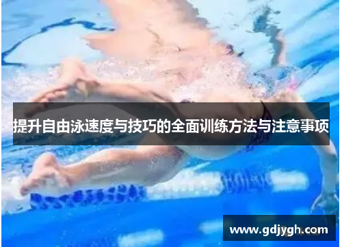 提升自由泳速度与技巧的全面训练方法与注意事项