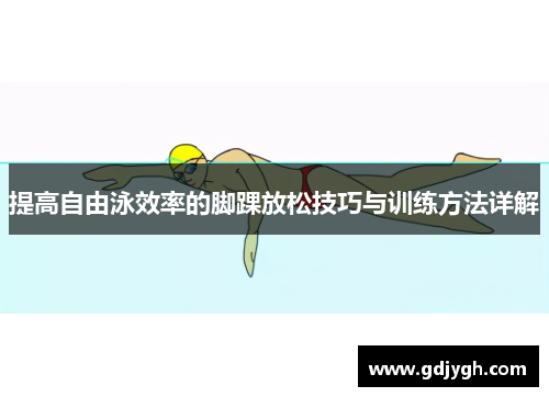提高自由泳效率的脚踝放松技巧与训练方法详解