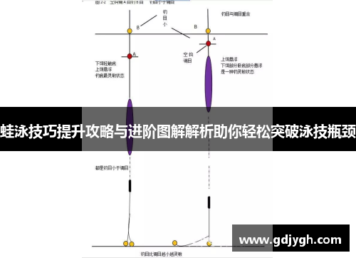蛙泳技巧提升攻略与进阶图解解析助你轻松突破泳技瓶颈