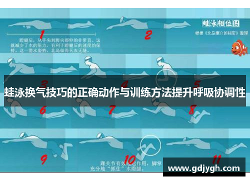 蛙泳换气技巧的正确动作与训练方法提升呼吸协调性